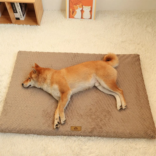 Orthopaedic Memory-Foam Pet Bed — view 2