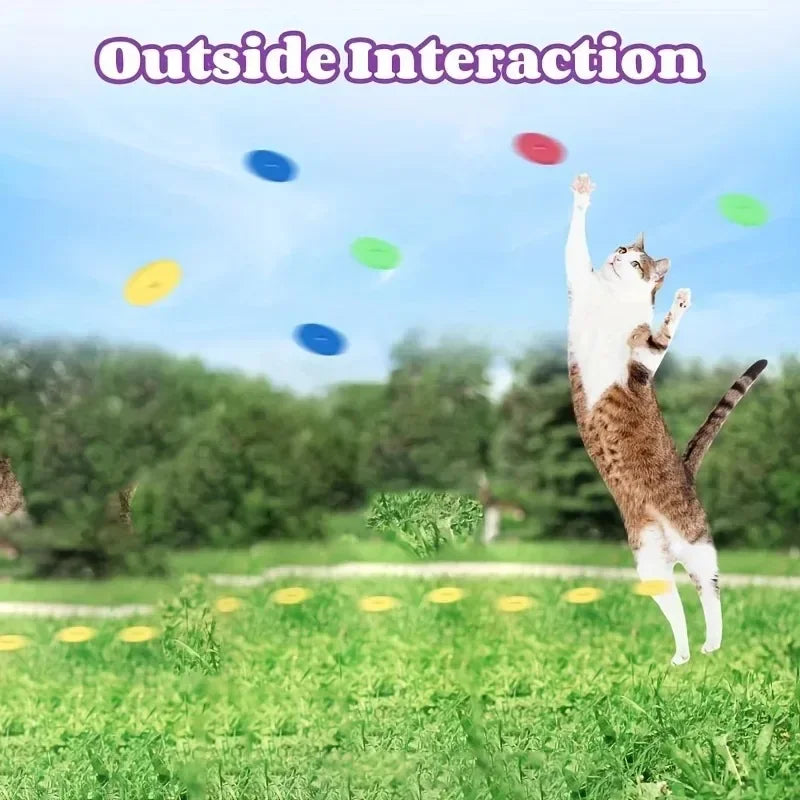 Turnip Foam Frisbee Cat Play Gun