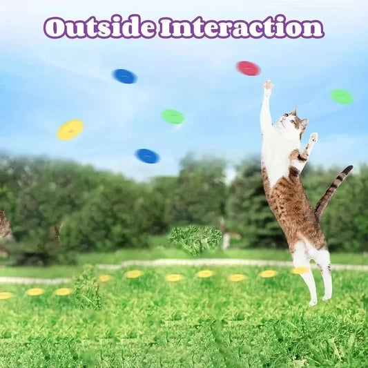 Turnip Foam Frisbee Cat Play Gun