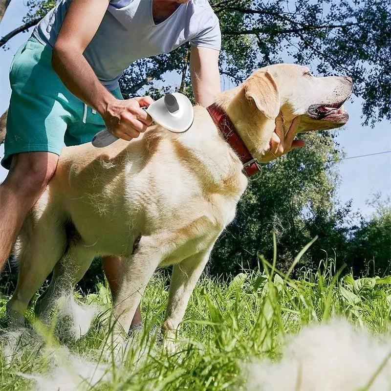 Self-Cleaning Slicker Pet Brush