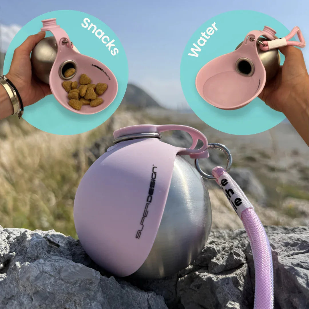 Stainless Steel Dog Water Bottle & Bowl