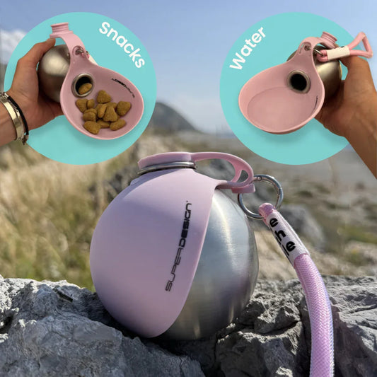 Stainless Steel Dog Water Bottle & Bowl