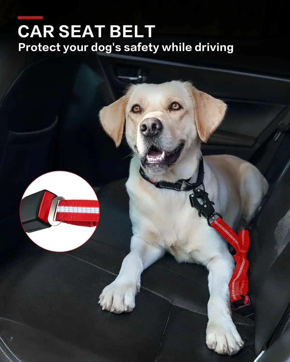 Tactical Heavy-Duty Bungee Dog Leash