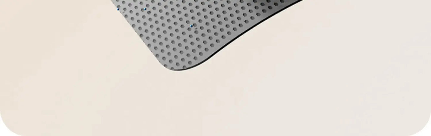 Double-Layer Cat Litter Mat