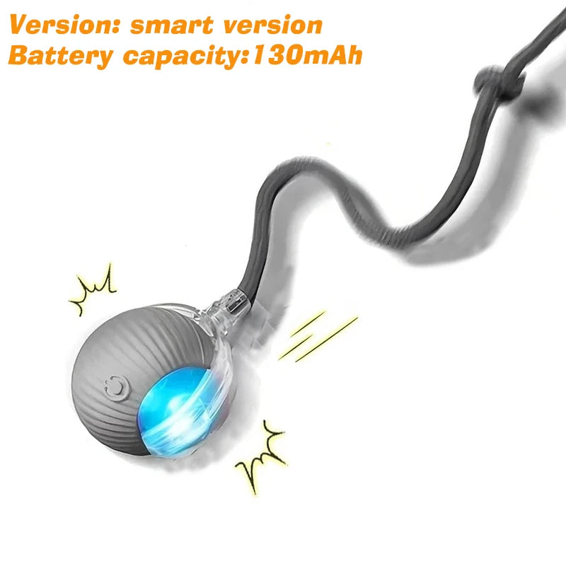 Smart Auto-Rolling Pet Ball