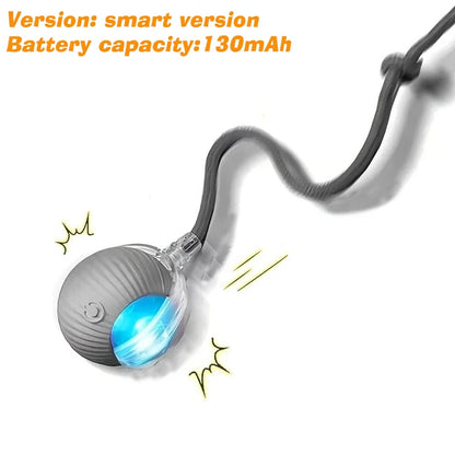 Smart Auto-Rolling Pet Ball