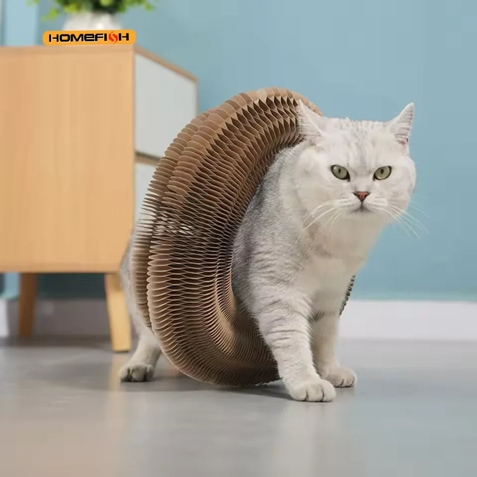 Corrugated Cat Scratch Lounger