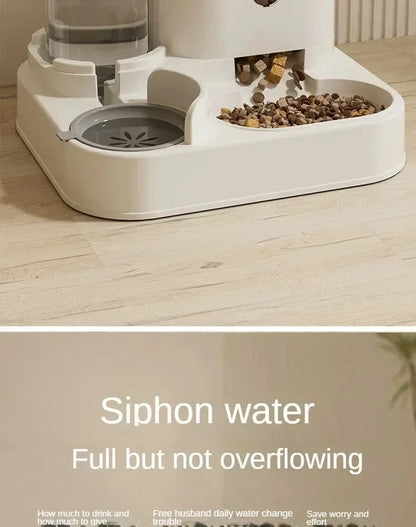 Auto Feeder & Water Fountain Station