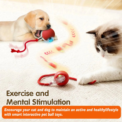 Smart Auto-Rolling Pet Ball