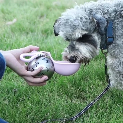 Stainless Steel Dog Water Bottle & Bowl