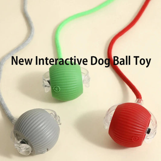Smart Auto-Rolling Pet Ball
