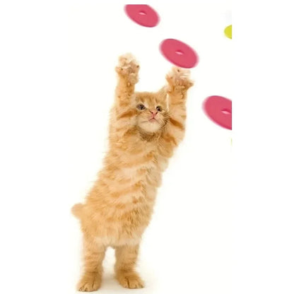 Turnip Foam Frisbee Cat Play Gun