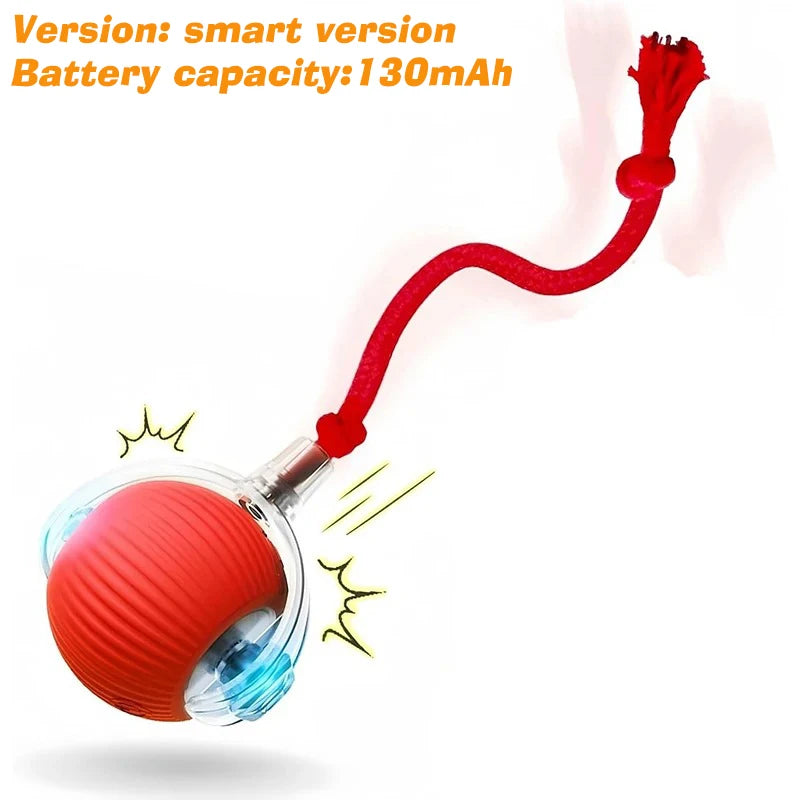 Smart Auto-Rolling Pet Ball