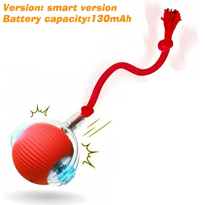 Smart Auto-Rolling Pet Ball