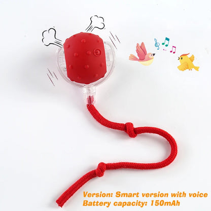 Smart Auto-Rolling Pet Ball