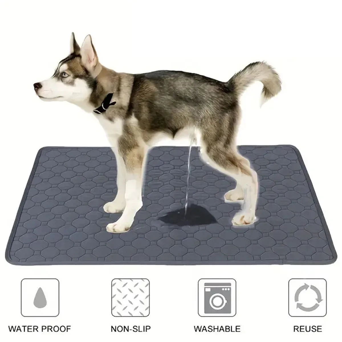 Reusable Washable Pee Training Pad