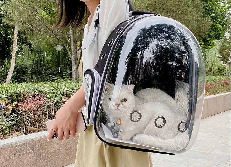 Bubble Window Pet Carrier Backpack