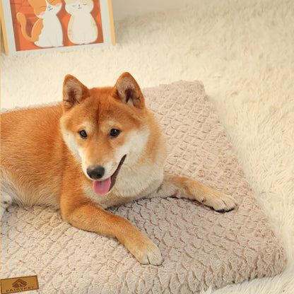 Orthopaedic Memory-Foam Pet Bed — view 4