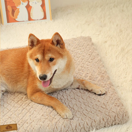 Orthopaedic Memory-Foam Pet Bed — view 4