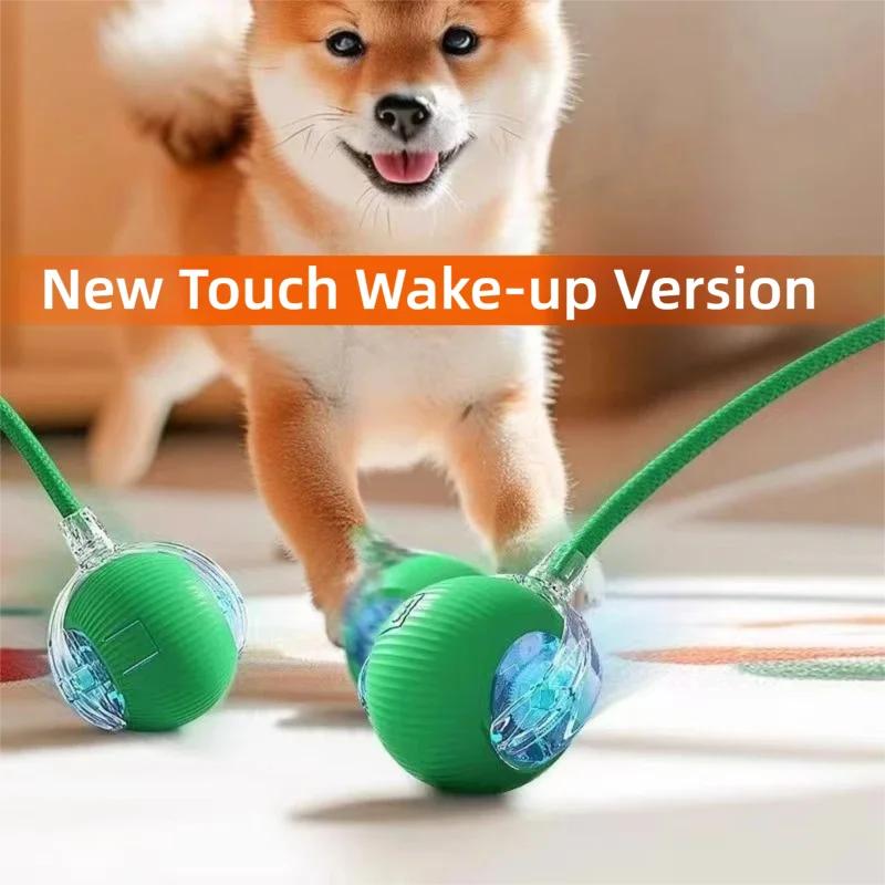 Smart Auto-Rolling Pet Ball