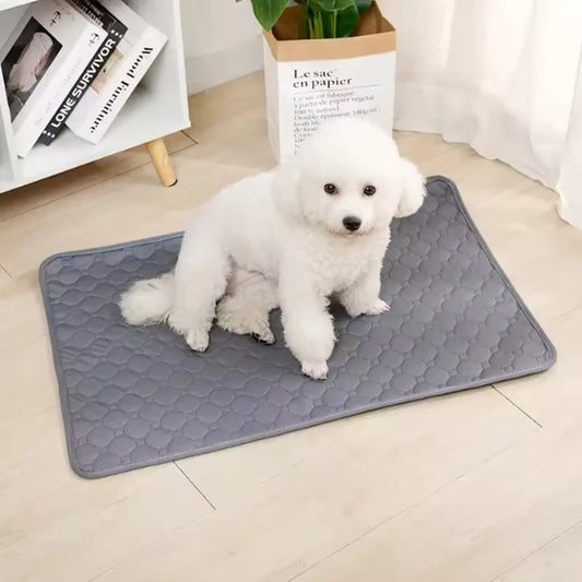 Reusable Washable Pee Training Pad