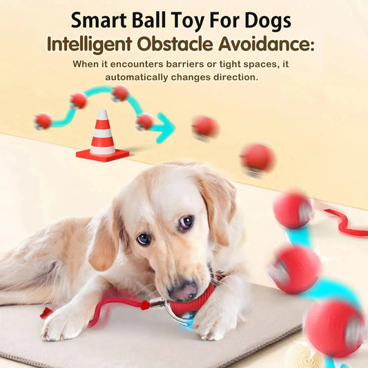 Smart Auto-Rolling Pet Ball