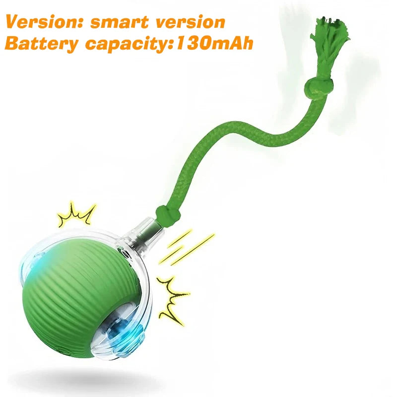 Smart Auto-Rolling Pet Ball