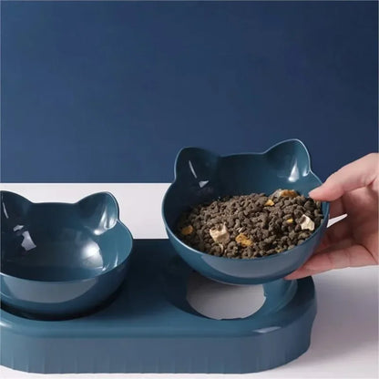 Auto Feeder & Water Bowl Combo