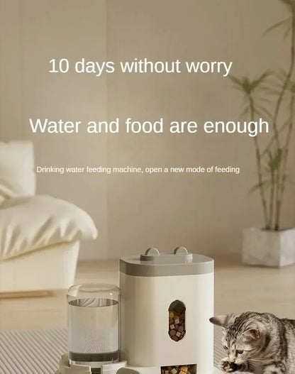 Auto Feeder & Water Fountain Station
