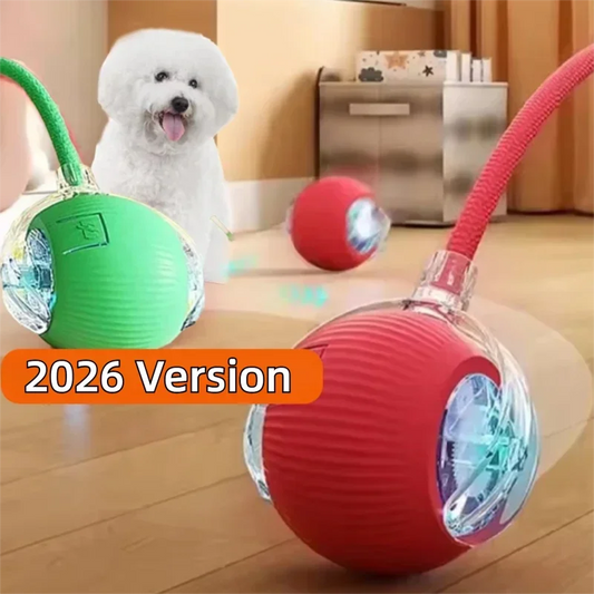 Smart Auto-Rolling Pet Ball for dogs and cats
