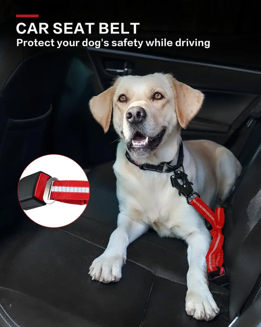Tactical Heavy-Duty Bungee Dog Leash