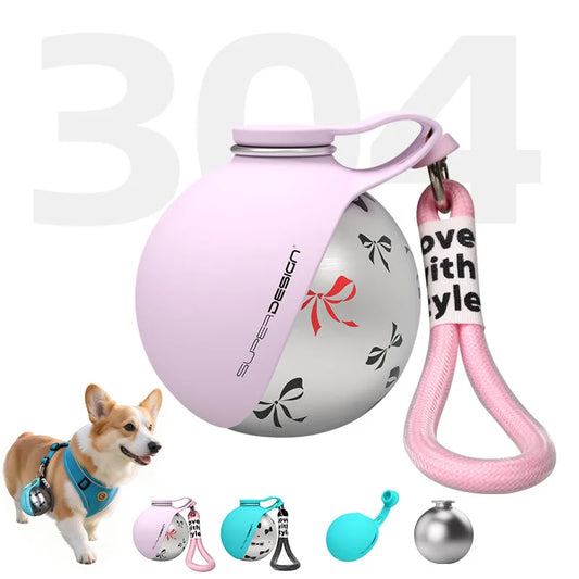 Stainless Steel Dog Water Bottle & Bowl