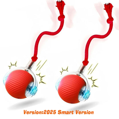 Smart Auto-Rolling Pet Ball