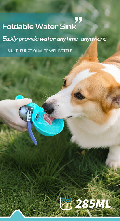 Stainless Steel Dog Water Bottle & Bowl